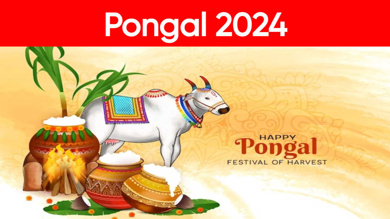 Pongal 2024 Optimized 1 